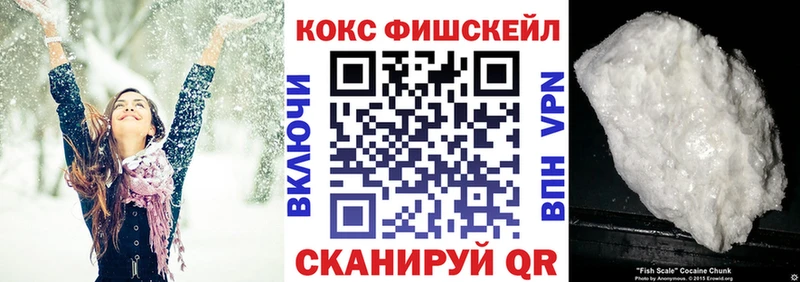 Купить закладки  Полевской  Cocaine Эквадор 