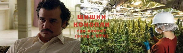 PSILOCYBIN Строитель