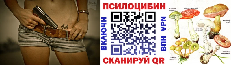 Псилоцибиновые грибы GOLDEN TEACHER  Купить где  Полевской 